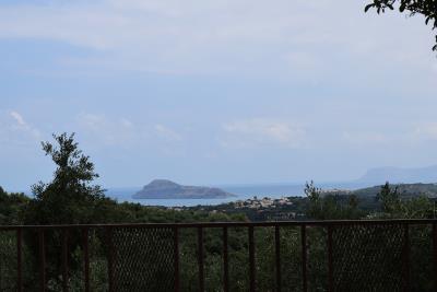 DSC_0083-w