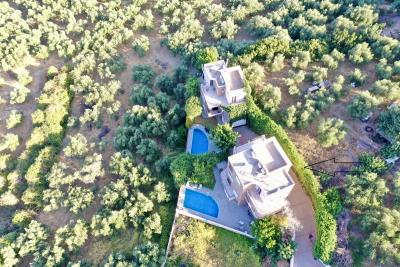 DJI_0119