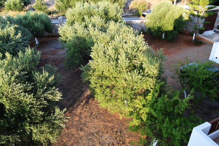 Image No.9-Propriété de 7 chambres à vendre à Milatos