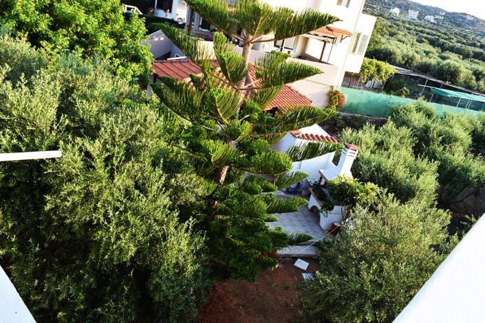 Image No.11-Propriété de 7 chambres à vendre à Milatos