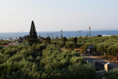 DSC_0111i