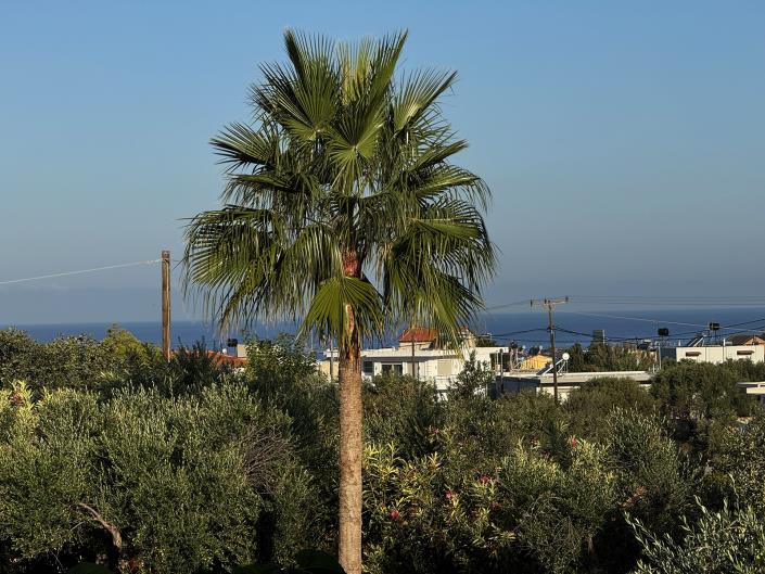 Image No.15-2 Bed Maisonette for sale