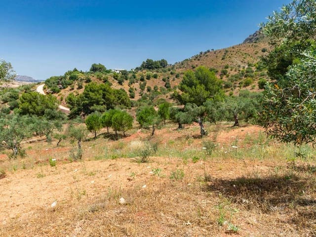 Image No.11-Land for sale