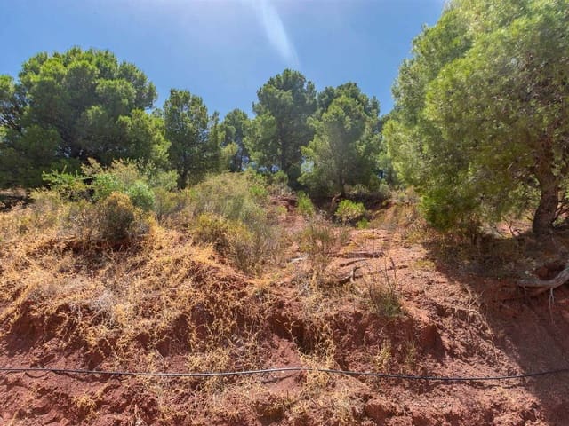 Image No.3-Land for sale