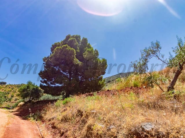 Image No.8-Land for sale