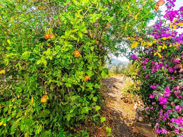 Image No.2-3 Bed Apartment for sale