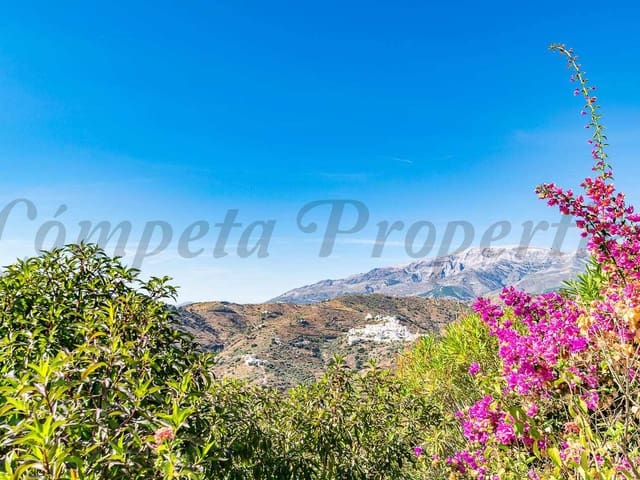 Image No.3-2 Bed Villa for sale