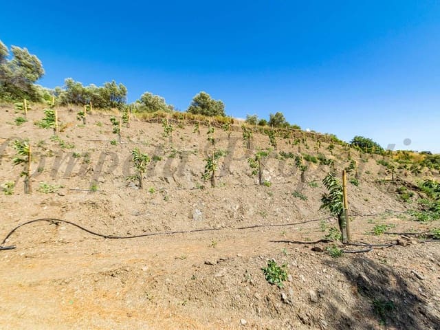 Image No.6-Land for sale