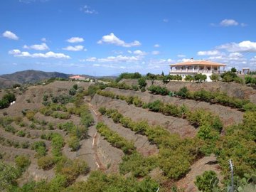 CÓMPETA PROPERTIES S.L most sold property