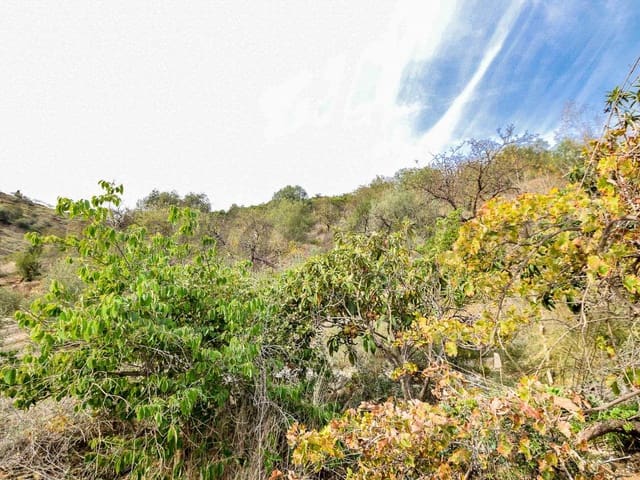 Image No.11-Finca for sale