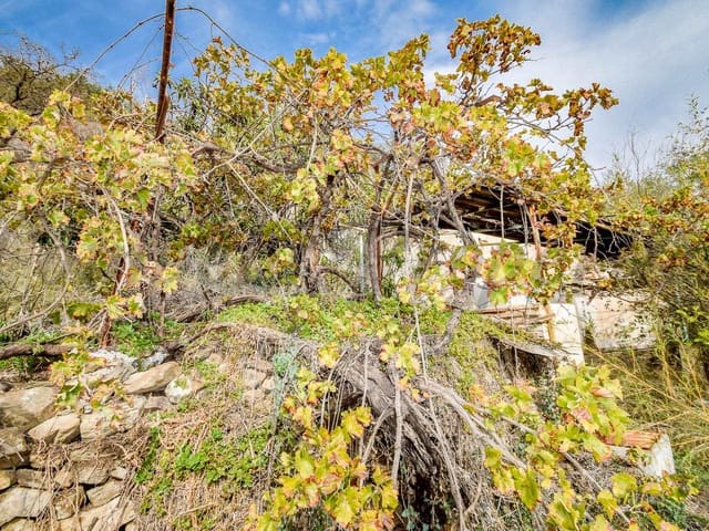 Image No.12-Finca for sale