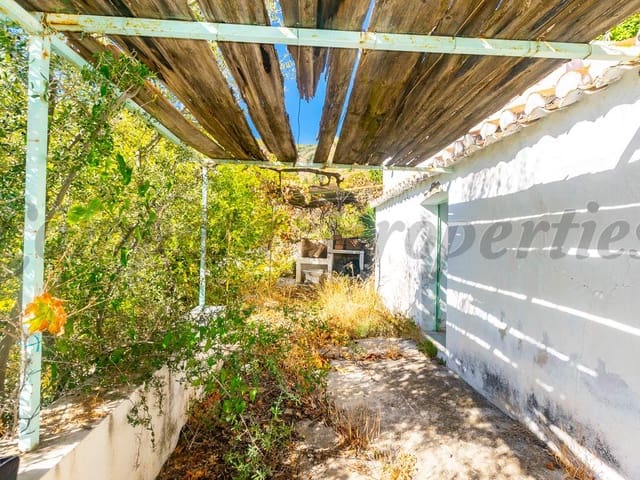 Image No.5-Finca for sale