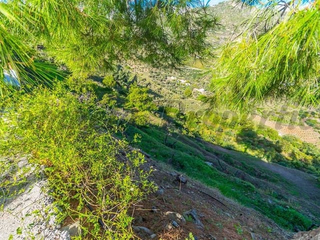 Image No.2-Finca à vendre à Frigiliana