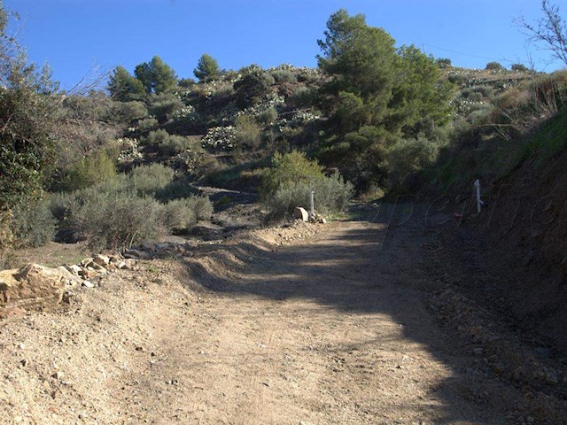Image No.3-Finca de 1 chambre à vendre à Torrox