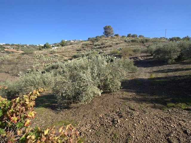 Image No.5-Finca de 1 chambre à vendre à Torrox