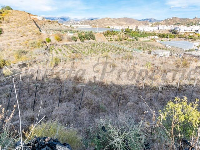 Image No.2-Land for sale