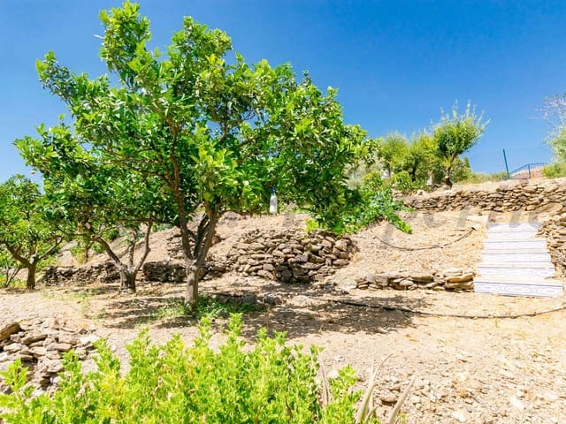 Image No.5-3 Bed Villa for sale