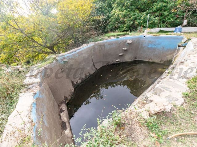 Image No.7-Finca de 1 chambre à vendre à Canillas de Albaida