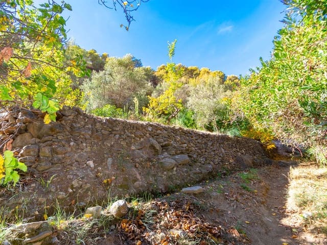 Image No.1-Terre à vendre à Canillas de Albaida