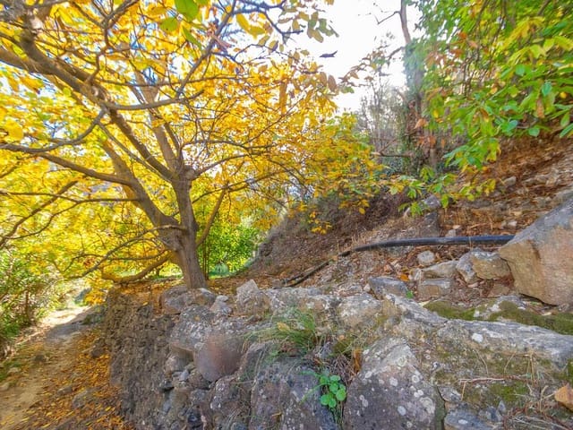 Image No.2-Land for sale