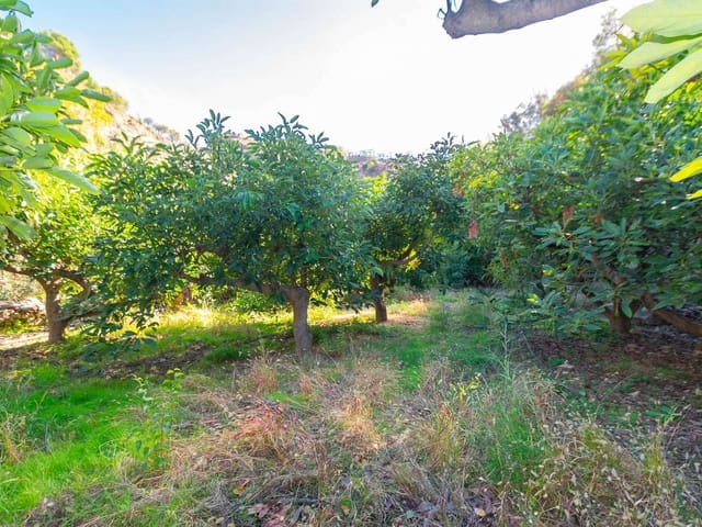 Image No.4-Land for sale