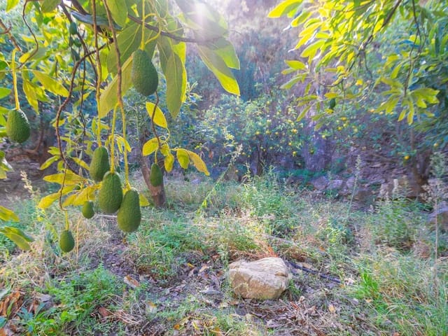 Image No.5-Land for sale