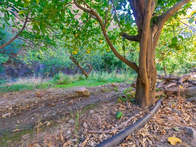 Image No.6-Land for sale