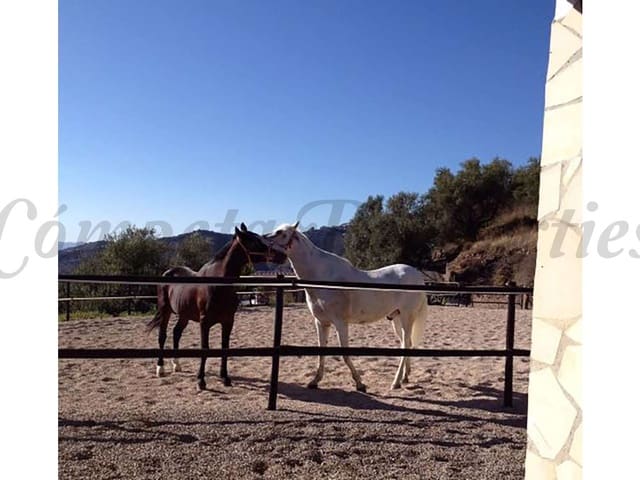 Image No.23-4 Bed Finca for sale