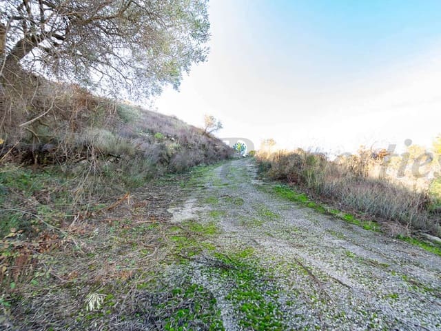 Image No.3-Terre à vendre à Torrox