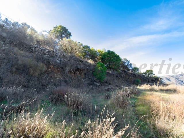 Image No.5-Terre à vendre à Torrox