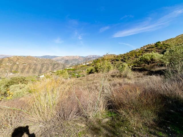 Image No.7-Terre à vendre à Torrox