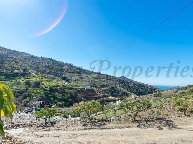 Image No.11-Finca de 3 chambres à vendre à Cómpeta