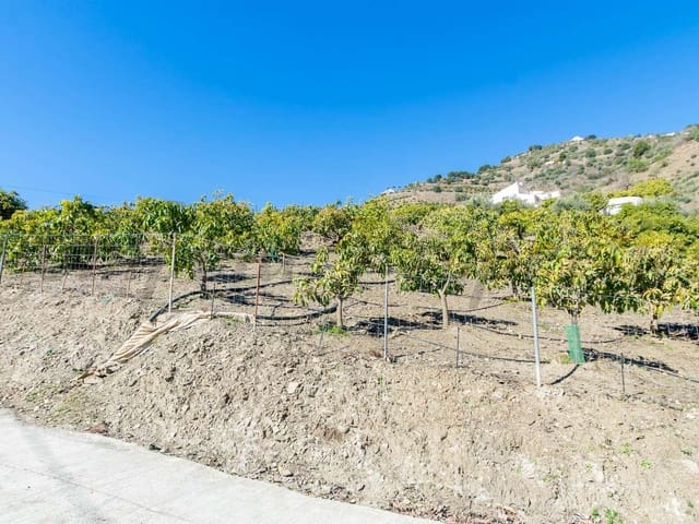 Image No.2-Finca de 3 chambres à vendre à Cómpeta