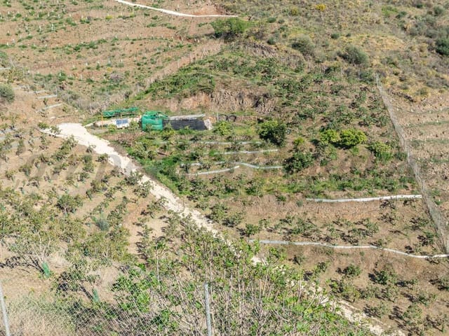 Image No.15-Finca de 2 chambres à vendre à Torrox