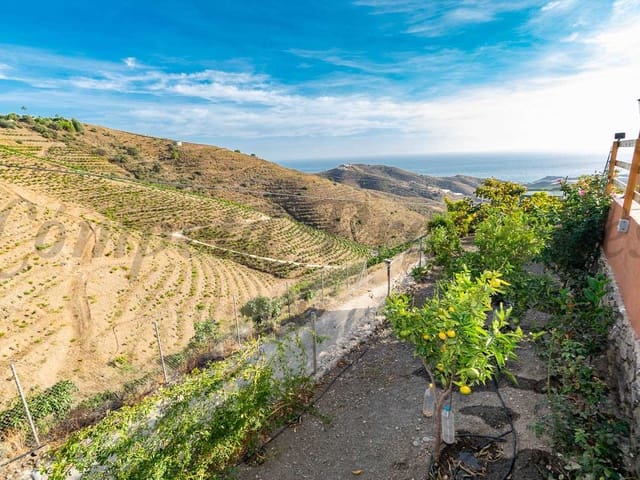 Image No.19-Finca de 2 chambres à vendre à Torrox