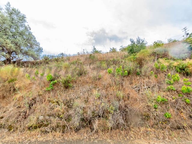 Image No.3-Terre à vendre à Torrox