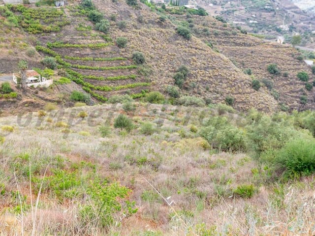 Image No.5-Terre à vendre à Torrox