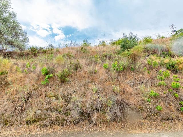 Image No.6-Terre à vendre à Torrox