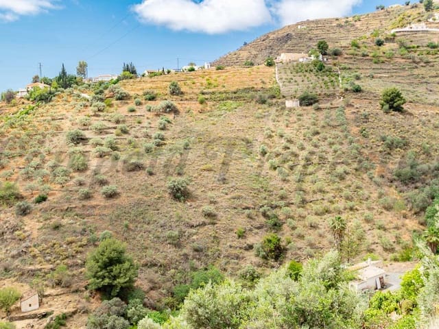 Image No.7-Terre à vendre à Torrox