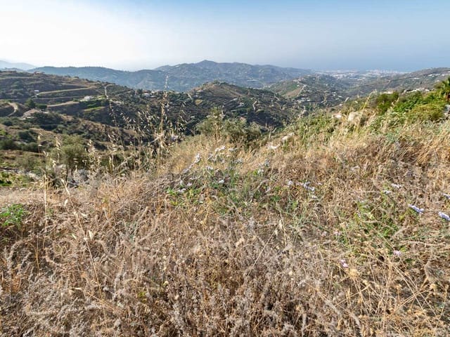 Image No.13-Terre à vendre à Torrox