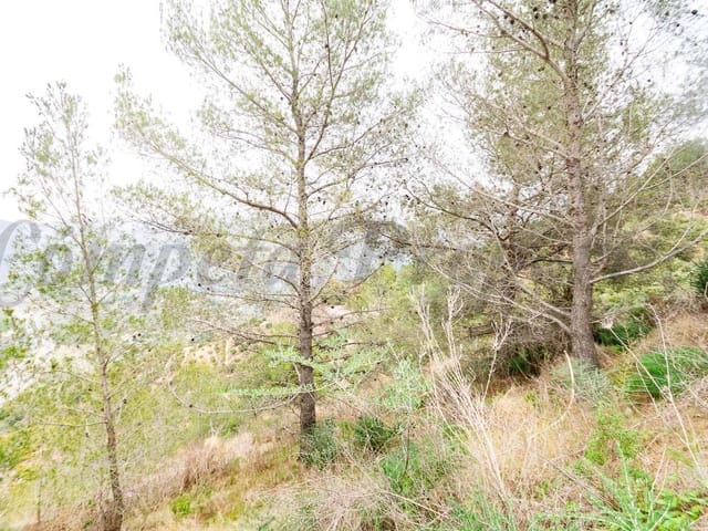 Image No.10-Land for sale