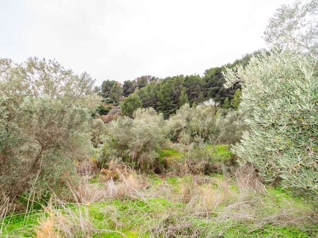 Image No.22-Land for sale