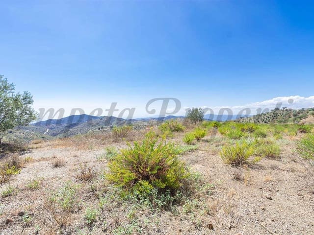 Image No.2-Terre à vendre à Canillas de Albaida