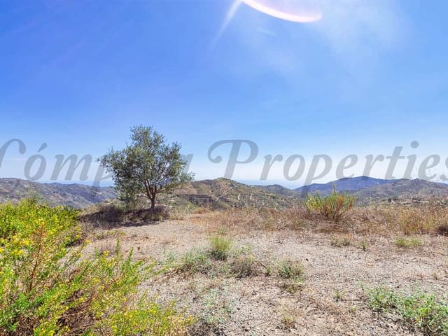 Image No.3-Terre à vendre à Canillas de Albaida