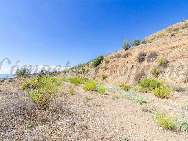 Image No.4-Terre à vendre à Canillas de Albaida