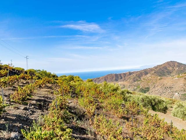 Image No.3-Villa de 2 chambres à vendre à Torrox