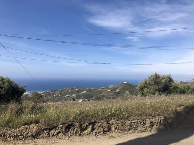 Image No.2-5 Bed Finca for sale