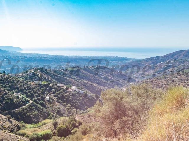 Image No.1-Terre à vendre à Torrox