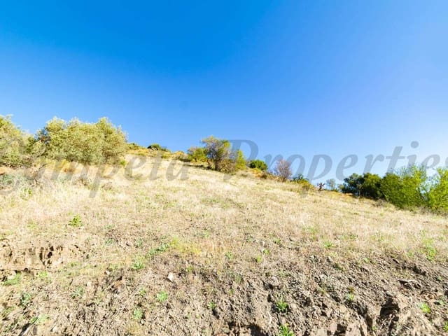 Image No.6-Land for sale