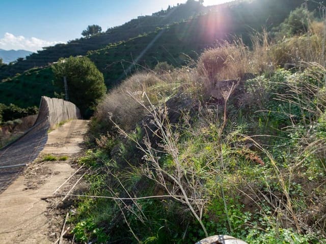Image No.1-Terre à vendre à Torrox